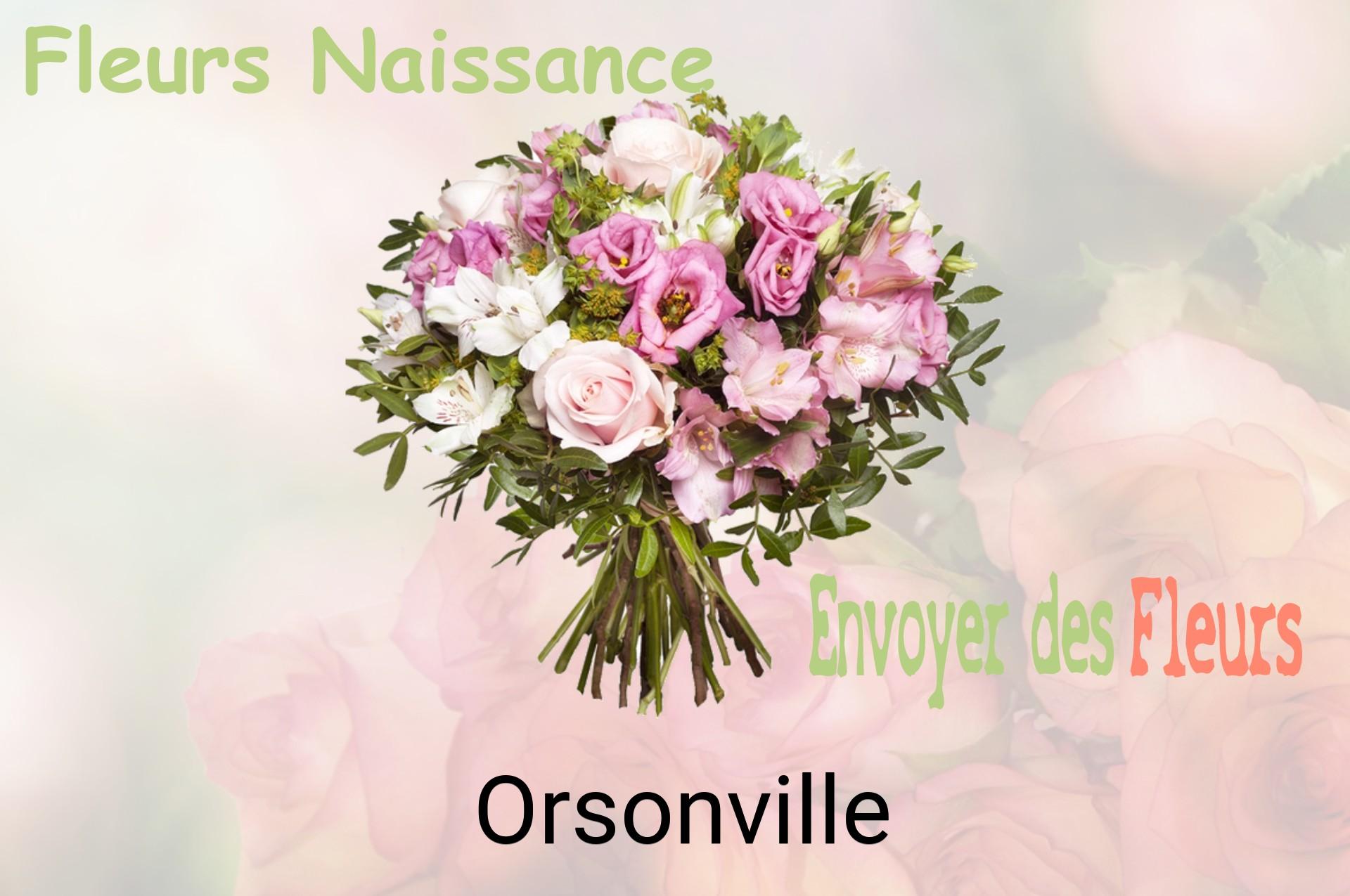 Bouquet de fleurs de naissance livré à Orsonville